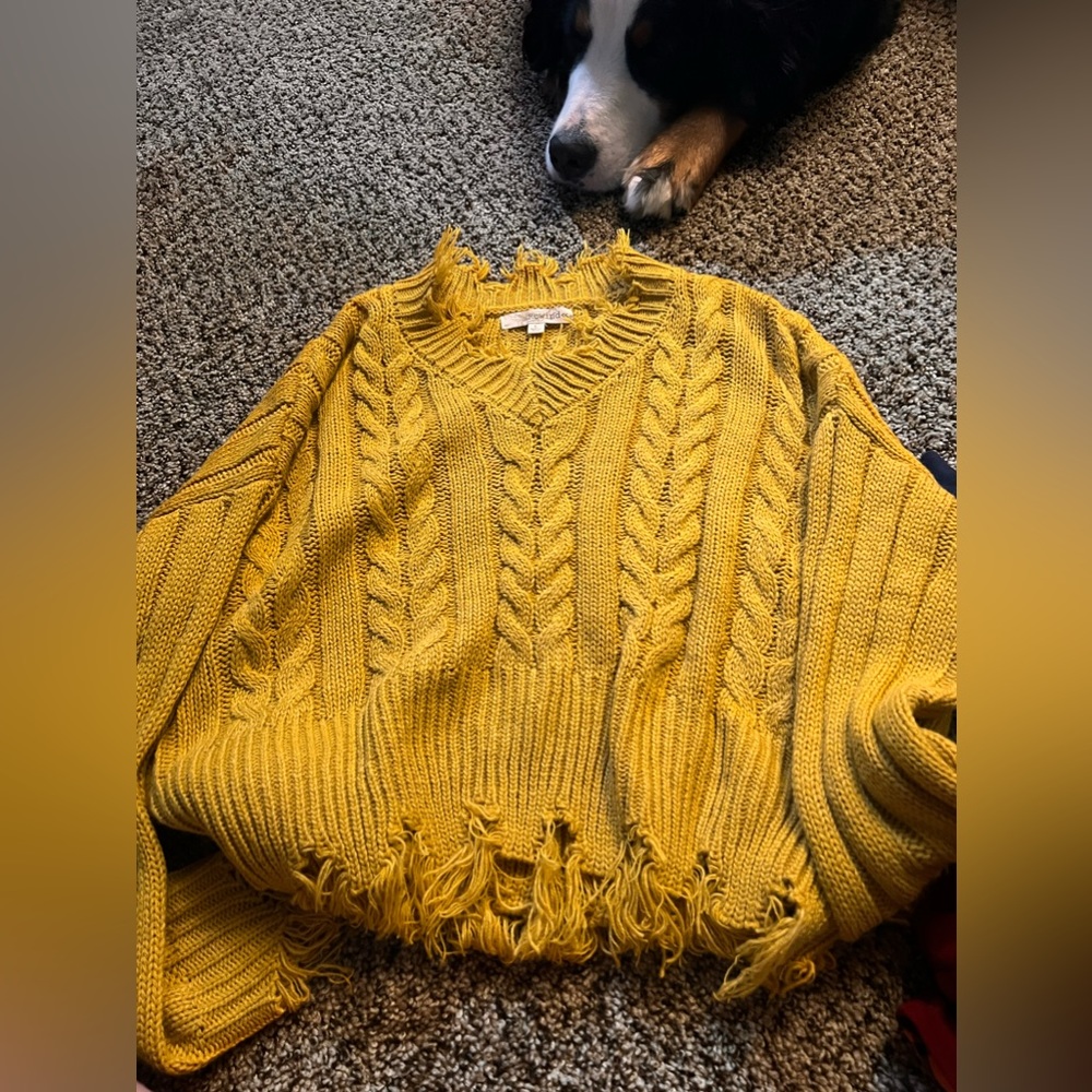 sweater